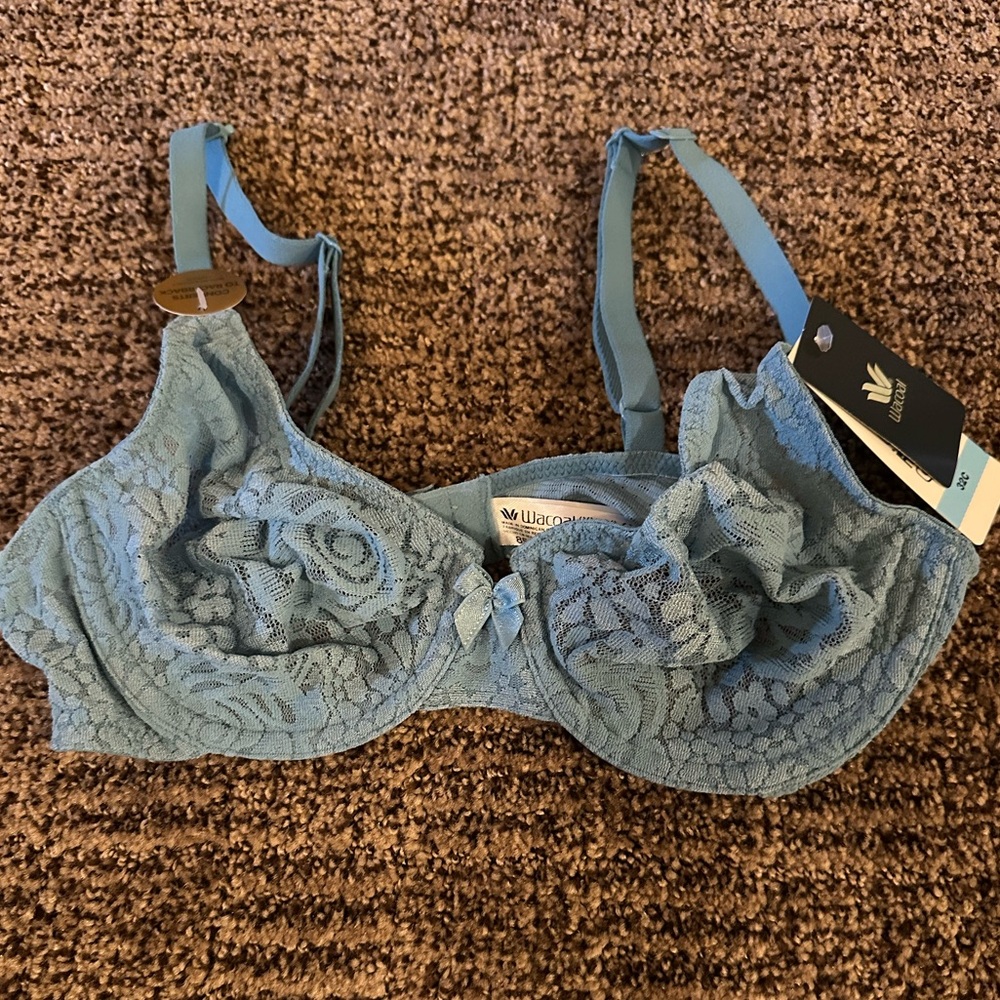 Wacoal Lace Bra in Soft Blue